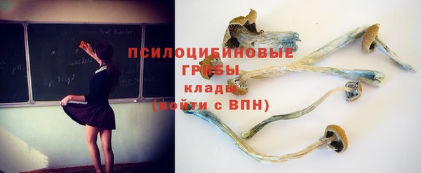гидра Абаза