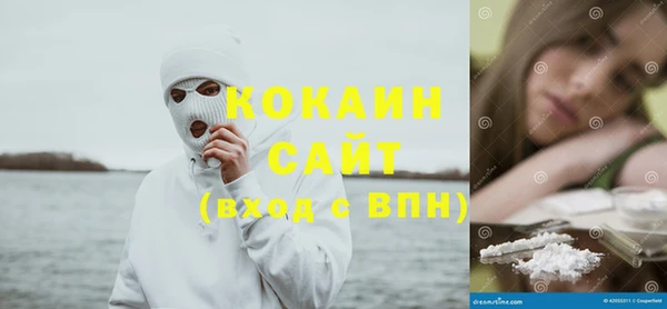 ПСИЛОЦИБИНОВЫЕ ГРИБЫ Алексин