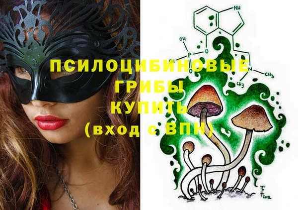 ПСИЛОЦИБИНОВЫЕ ГРИБЫ Алексин