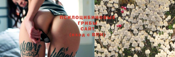 гидра Абаза