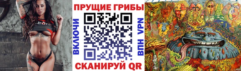цена   Карасук  Псилоцибиновые грибы MAGIC MUSHROOMS 